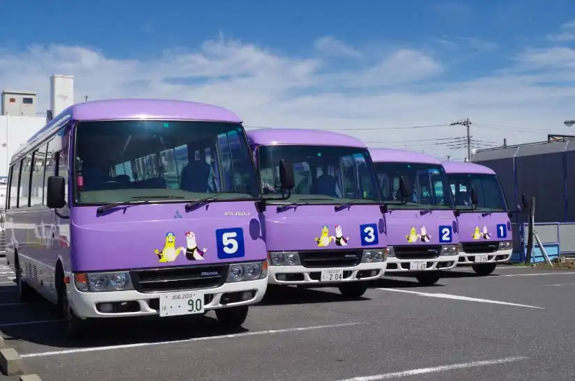 バスが並んでいる写真
